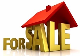 ron jochems real estate
